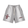 Sun Fade Distressed Shorts