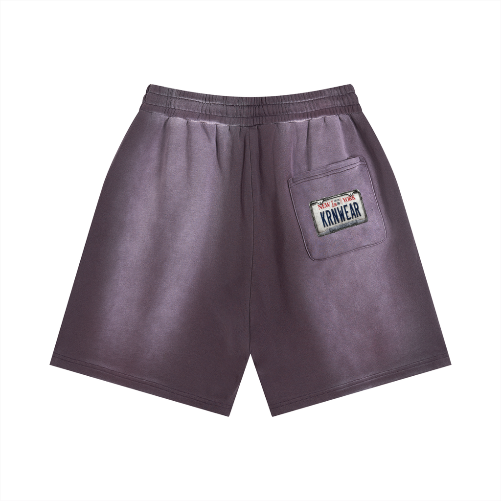 Sun Fade Distressed Shorts